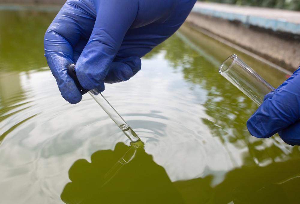 Water,Sample.,Treatment,Facilities.,Quality,Control,Of,Water,That,Has